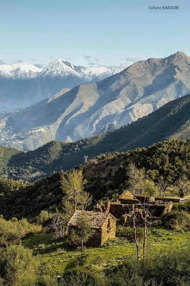 Les Montagnes et Hauts-Plateaux de l'algerie