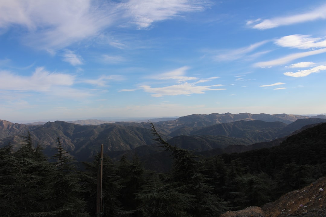 Forêt et montagne du parc national de Chréa dans l’Atlas blidéen