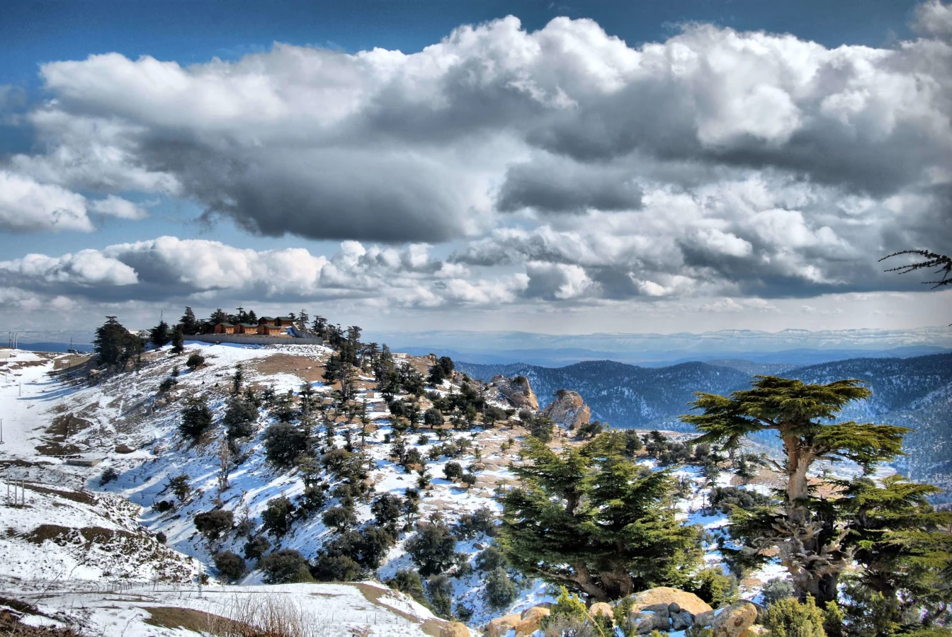 Que faire à Chréa ? Sortie montagne, neige et chalets depuis Alger